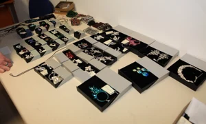img 8555 jpeg