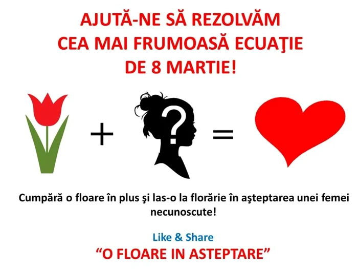 o floare in asteptare