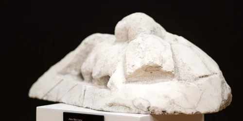 Romanian Art and the French Connection