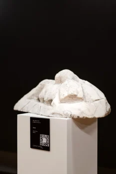 Romanian Art and the French Connection