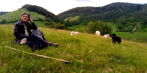 ciobanita din ponorici foto daniel guta adevarul