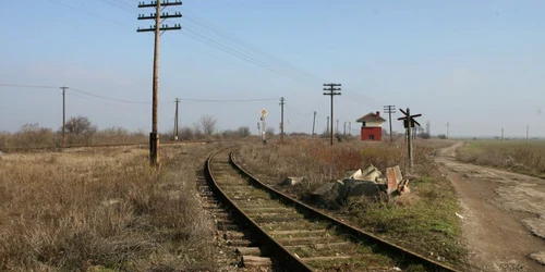 Hoţii sunt atraşi de inserţia de cupru a cablurilor de pe stâlpi. 