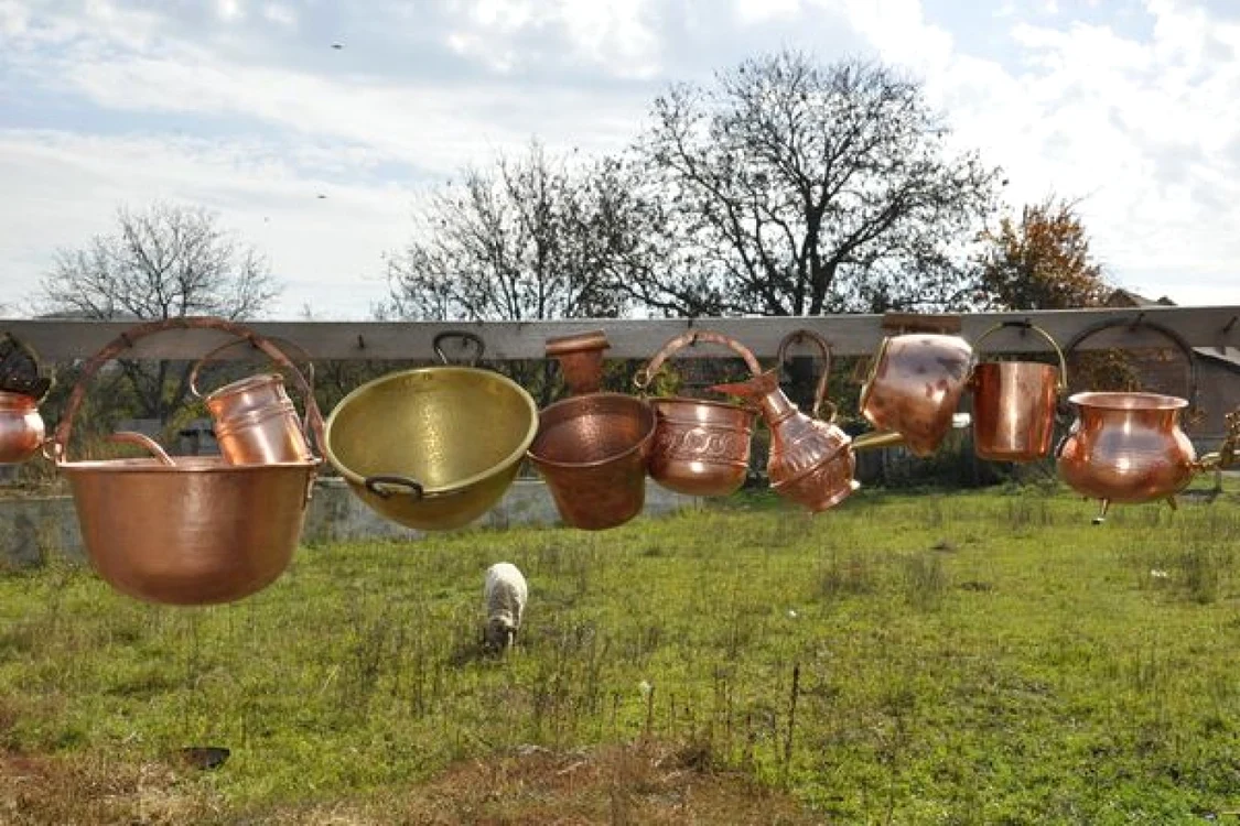 Oalele de curpru trebuie tratate corespunzător FOTO Arhivă