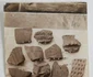 Fotografie reprezentand artefacte din colectia arheologica a Zsofiei Torma Foto Arhivele judetului Hunedoara Sursa Laura Coltofeanu jpg