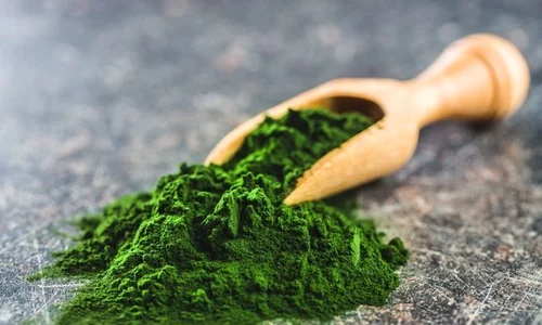 1 orz verde jpg jpeg