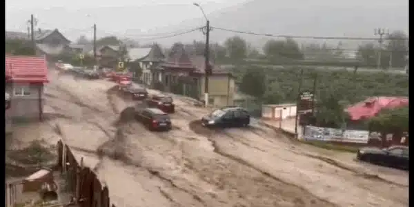 busteni gif gif