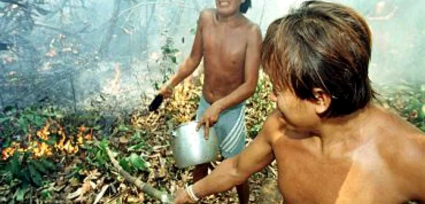 America de Sud: Gripa porcină s-a răspândit şi printre indienii Yanomami!