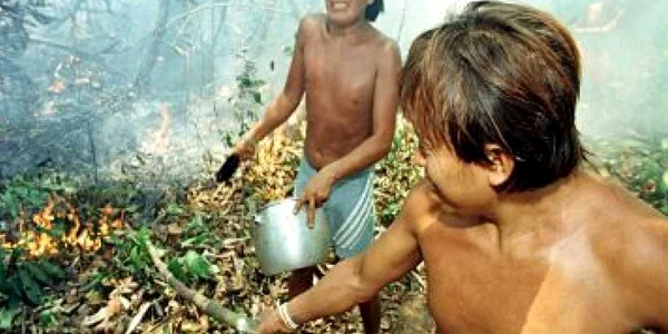 America de Sud: Gripa porcină s-a răspândit şi printre indienii Yanomami!