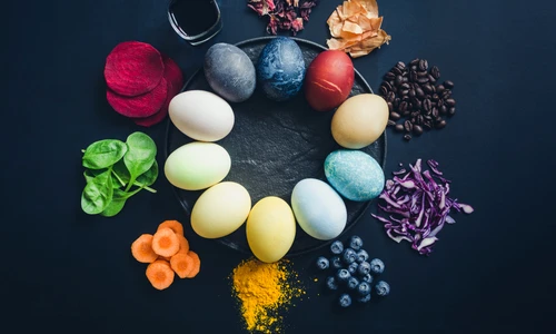 1 shutterstock 1369272629 jpg jpeg