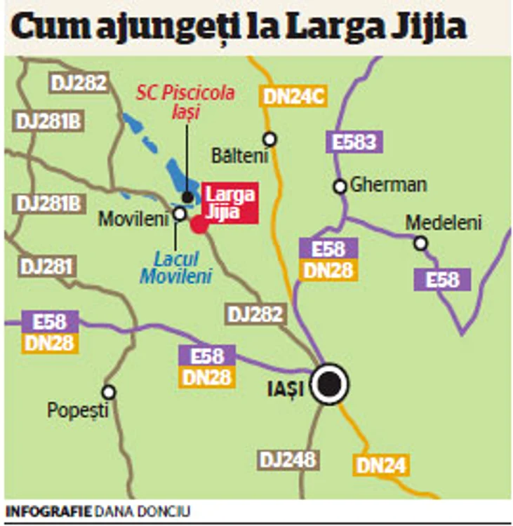 INFOGRAFIE