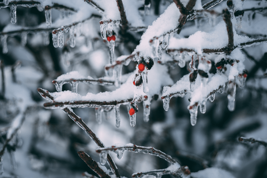 Temperaturile au scăzut până la –27 de grade Celsius, în Elveția 