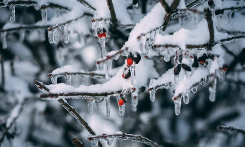 ger inghet zapada vremea meteo pexels jpg
