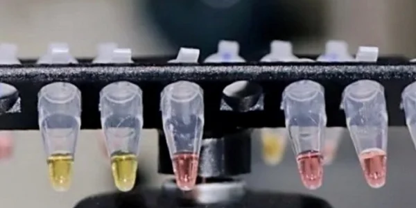 test coronavirus oxford