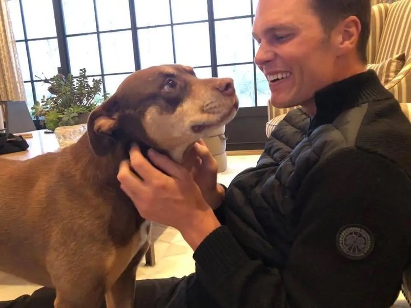 Legenda fotbalului american Tom Brady și-a clonat câinele: „Îmi iubesc animalele. Înseamnă totul pentru mine și familia mea”