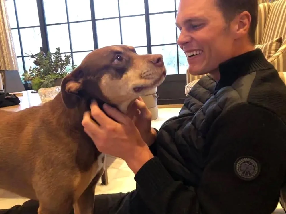 Tom Brady și câinele său clonat FOTO: captura video Tiktok