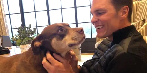 Tom Brady si cainele jpeg