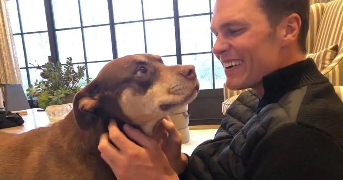 Tom Brady și clonarea câinelui său Junie
