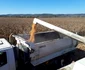 liceu agricol beclean 9