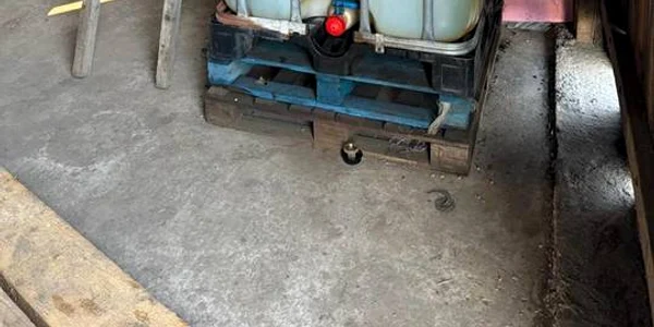 perchezitii Suceava FOTO IPJ Suceava jpg