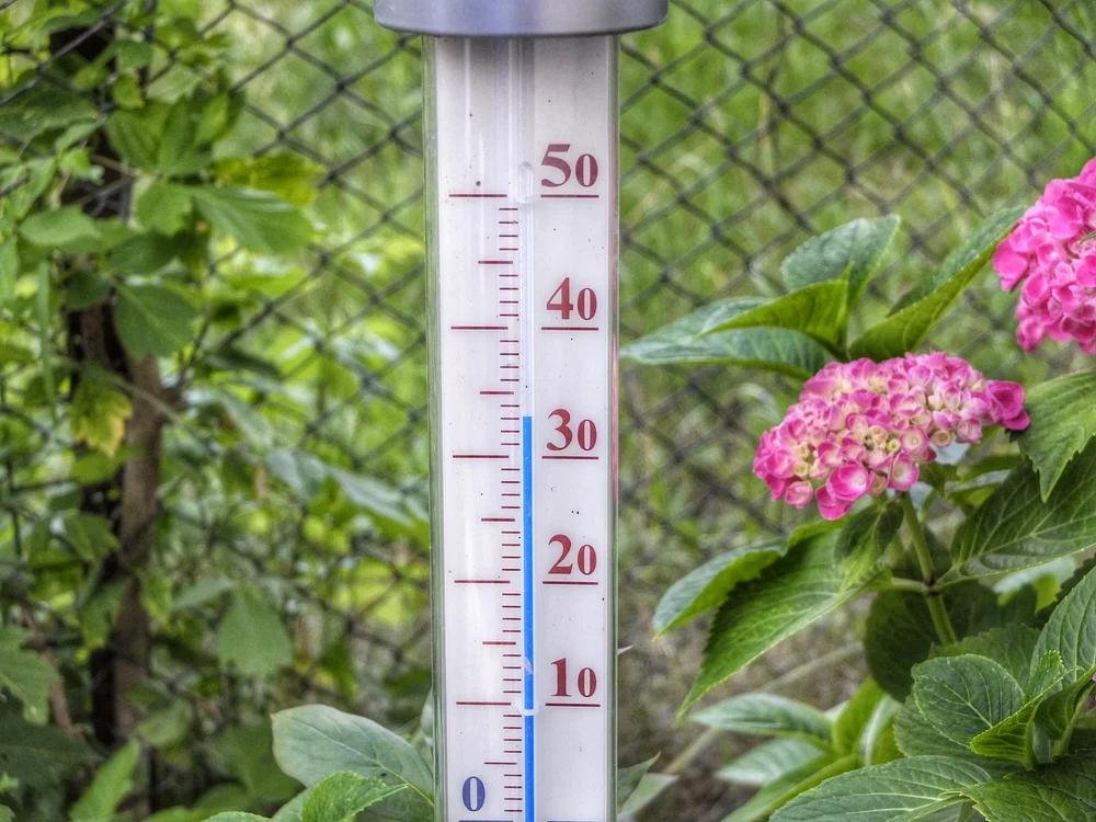 Unele alimente consumate când e cald ne pot pune viața în pericol / foto: Pixabay