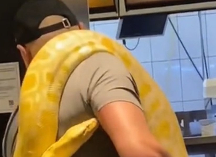 Apariție-șoc la un fast-food. Un bărbat și-a comandat de mâncare relaxat, având un piton uriaș încolăcit de gât VIDEO 