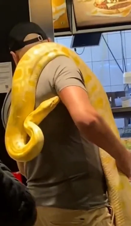 Cei doi au mers împreună la McDonalds / foto: Tik Tok