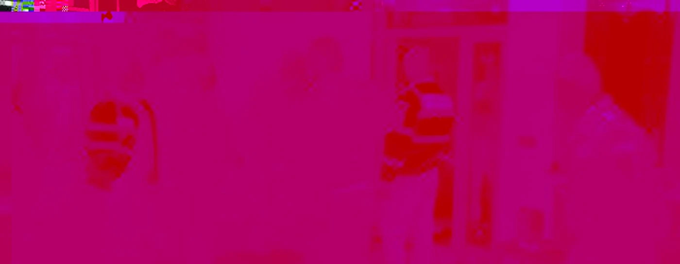 Perchezitii f