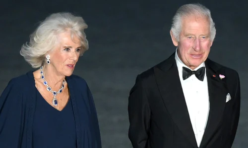 Camilla și Charles PNG
