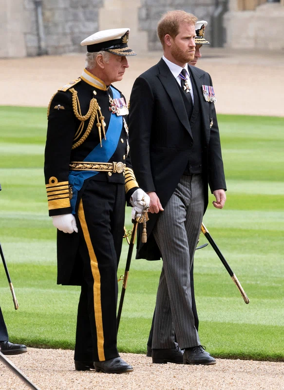 Regele Charles și Prințul Harry 