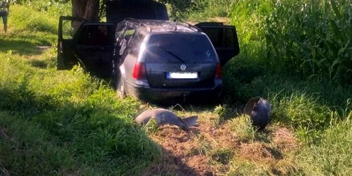 Maşină furată şi abandonată pe câmp FOTO Valentin Trufaşu