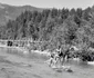 retezat 1963 foto viorel simionescu