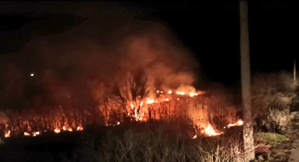 Incendiu puternic în municipiul Giurgiu. Au ars 2.000 de metri pătrați de vegetație uscată 
