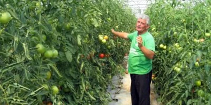 Agricultorii din Olt cer revenirea la sistemul de subvenţii de la stat