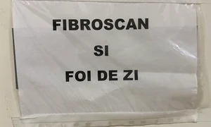 p 24 M  Plesu jpg
