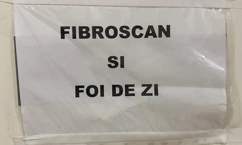 p 24 M  Plesu jpg