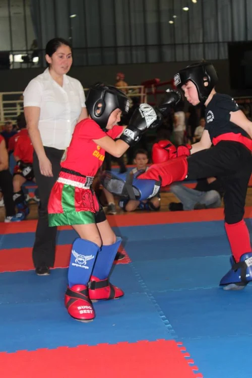 rizea wushu