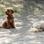 ID257073 INQUAM Photos Malina Norocea jpg
