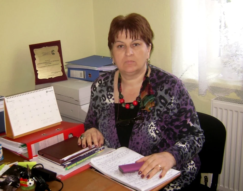gabriela nedelcu liceu i c petrescu