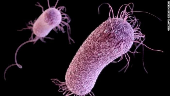 Bacteriile devin din ce în ce mai rezistente la antibiotice FOTO: Arhivă