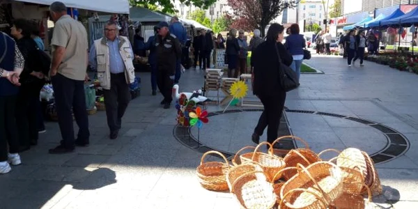 expo-flora slatina 2019