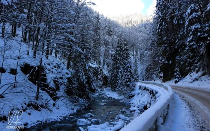 Curmătura Jiețului. Foto: Vasile Laurențiu Sorin.