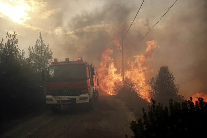 Regiunea Aatica din Grecia a fost afectată săptămâna aceasta de incendii puternice Foto: EPA/EFE