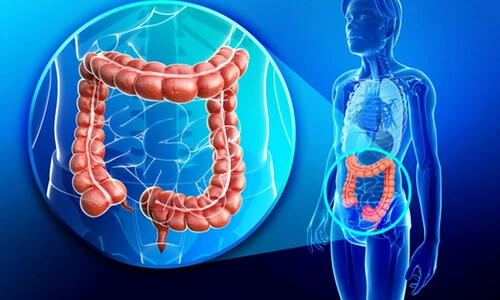 1 69510 original jpg jpeg