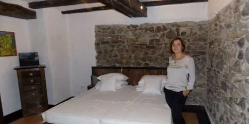 daniel castle talisoara