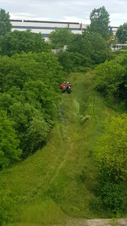 bărbat de 87 ani disparut din slatina si gasit intr-o mlastina