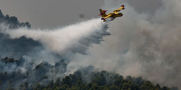 Incendii Spania. FOTO EPA-EFE