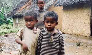 d8345556 edf3 4e72 966b 487ea4f440e8 jpeg