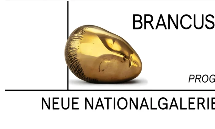 Brancusi program jpg