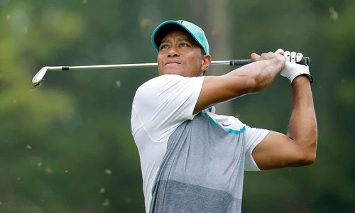 tiger woods  jpeg