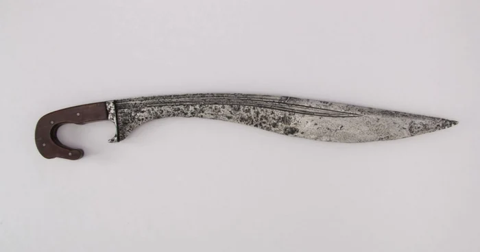 Falcata a fost una dintre armele de coşmar ale antichităţii FOTO sword-site.com